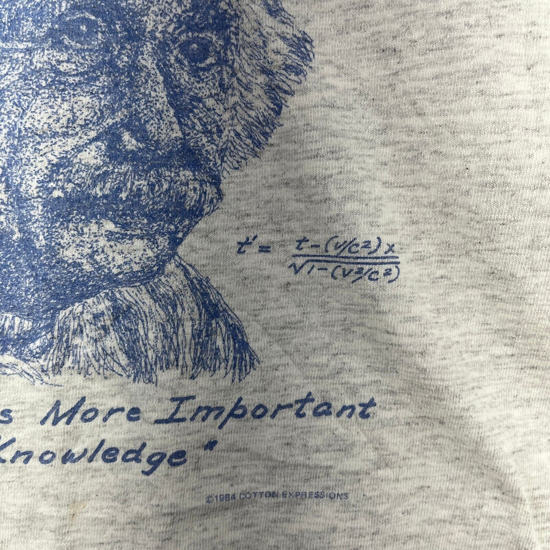 Vintage Albert Einstein Art Imagination Is More Important T-Shirt Gray M