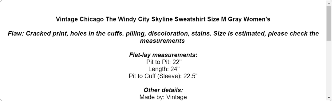 Vintage Chicago The Windy City Skyline Sweatshirt Size M Gray Women's